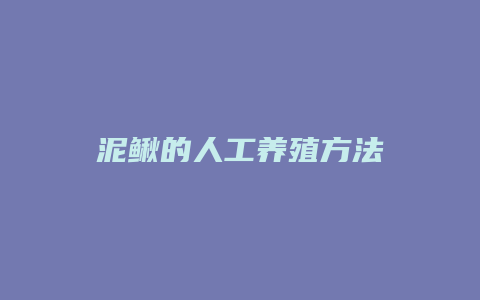 泥鳅的人工养殖方法