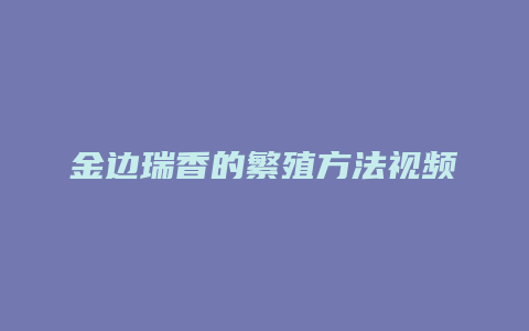 金边瑞香的繁殖方法视频