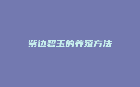 紫边碧玉的养殖方法