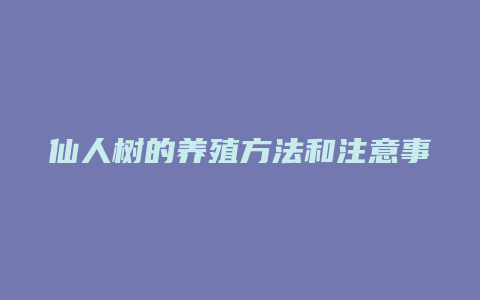 仙人树的养殖方法和注意事项