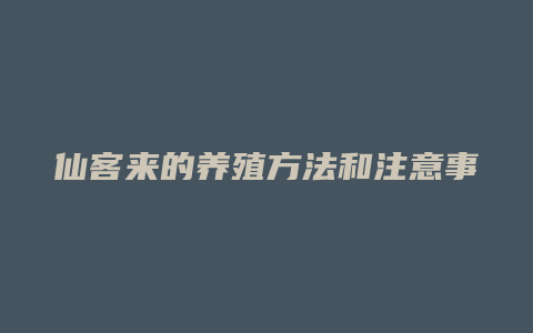 仙客来的养殖方法和注意事项有