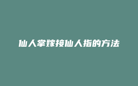 仙人掌嫁接仙人指的方法