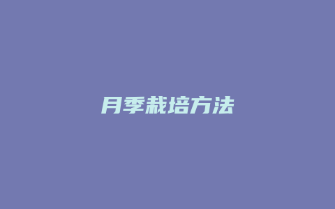 月季栽培方法