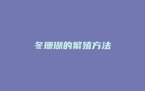 冬珊瑚的繁殖方法