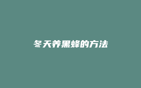 冬天养黑蜂的方法