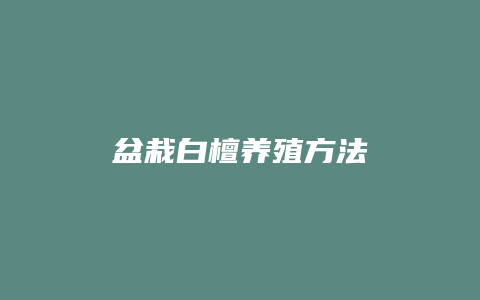 盆栽白檀养殖方法