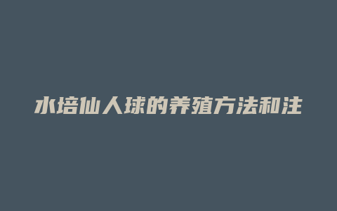 水培仙人球的养殖方法和注意事项