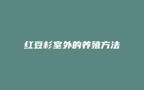 红豆杉室外的养殖方法