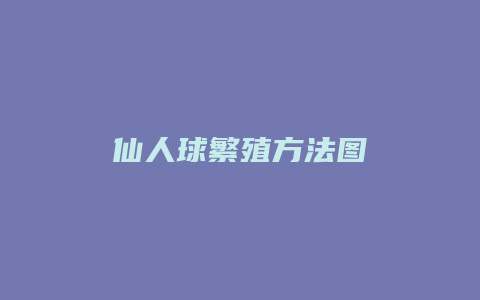 仙人球繁殖方法图