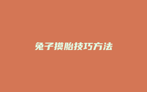 兔子摸胎技巧方法