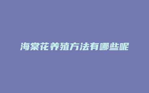 海棠花养殖方法有哪些呢