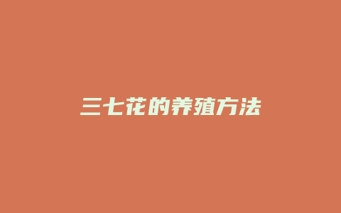 三七花的养殖方法