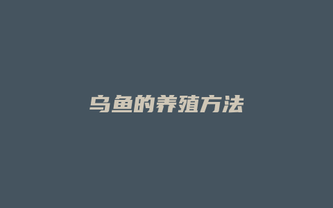 乌鱼的养殖方法