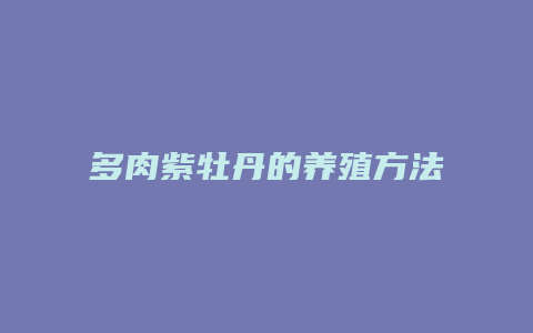 多肉紫牡丹的养殖方法