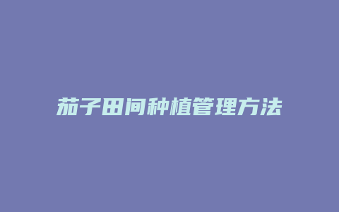 茄子田间种植管理方法