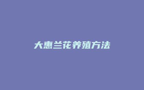 大惠兰花养殖方法