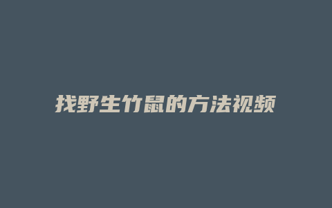 找野生竹鼠的方法视频