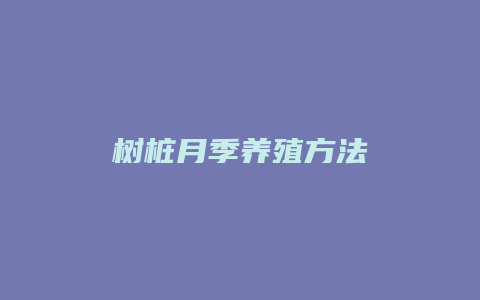 树桩月季养殖方法