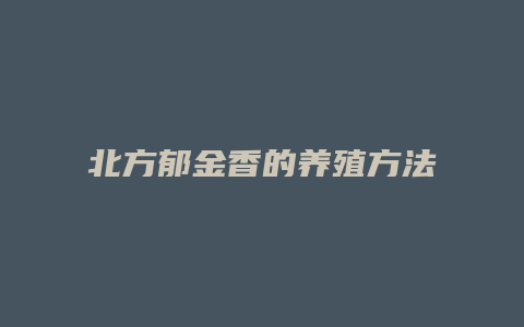 北方郁金香的养殖方法