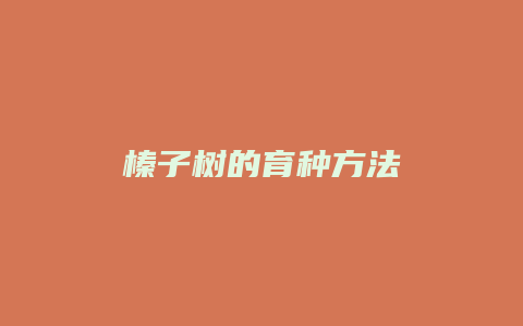 榛子树的育种方法