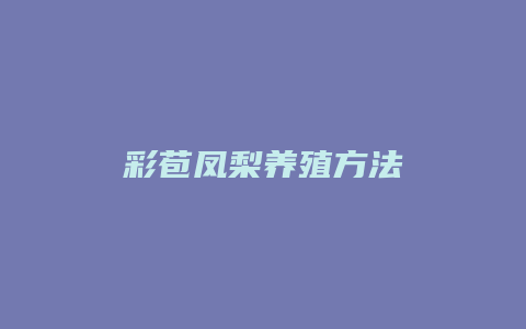 彩苞凤梨养殖方法