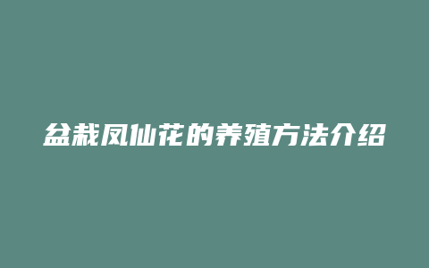 盆栽凤仙花的养殖方法介绍