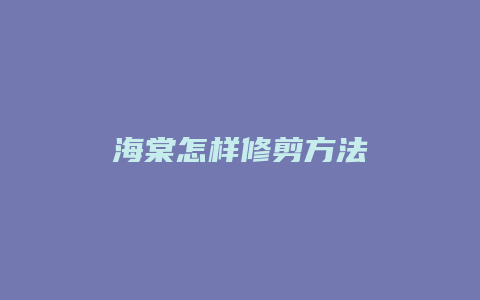 海棠怎样修剪方法