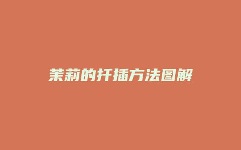 茉莉的扦插方法图解