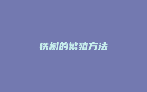 铁树的繁殖方法