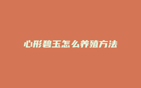 心形碧玉怎么养殖方法