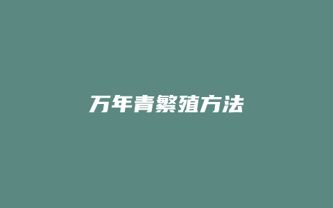 万年青繁殖方法