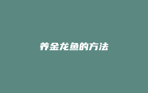 养金龙鱼的方法