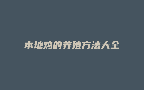 本地鸡的养殖方法大全