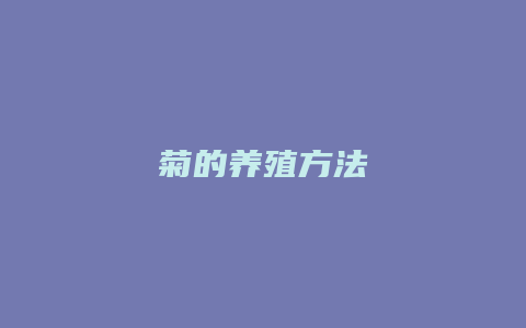 菊的养殖方法