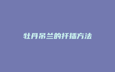 牡丹吊兰的扦插方法