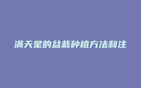 满天星的盆栽种植方法和注意事项