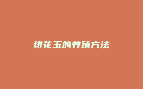 绯花玉的养殖方法