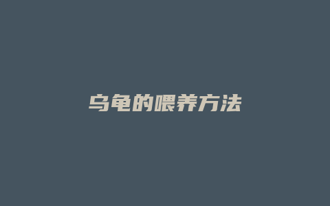 乌龟的喂养方法