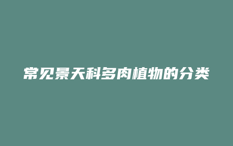 常见景天科多肉植物的分类与养护方法