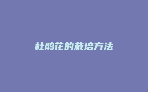 杜鹃花的栽培方法