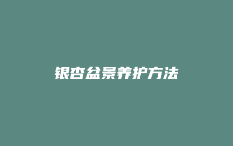 银杏盆景养护方法