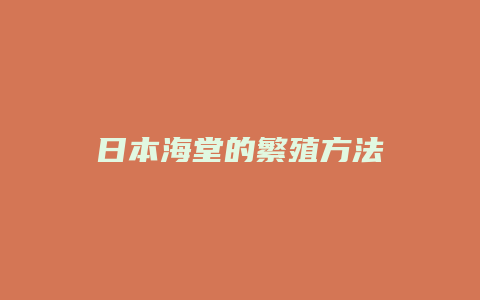 日本海堂的繁殖方法