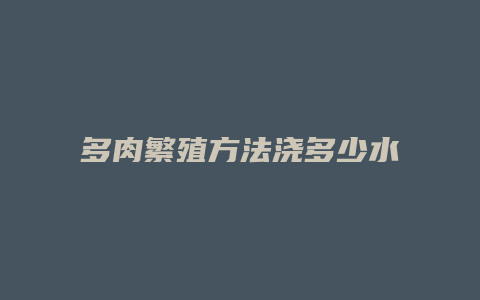 多肉繁殖方法浇多少水