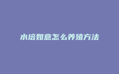 水培如意怎么养殖方法