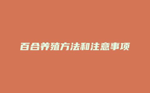 百合养殖方法和注意事项