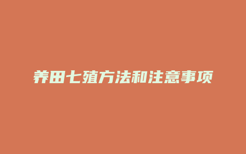 养田七殖方法和注意事项