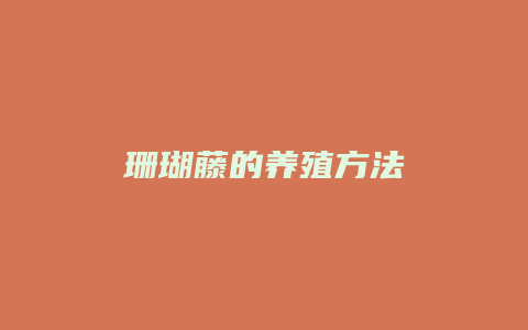 珊瑚藤的养殖方法