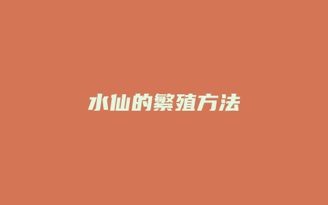 水仙的繁殖方法