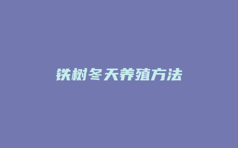 铁树冬天养殖方法