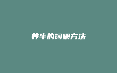 养牛的饲喂方法